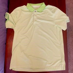 IZOD Golf shirtsleeve polo. Green and white stripes.